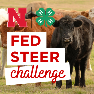 Fed Steer Challenge graphic