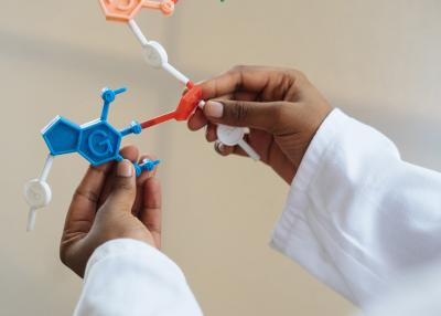 hands holding molecule model