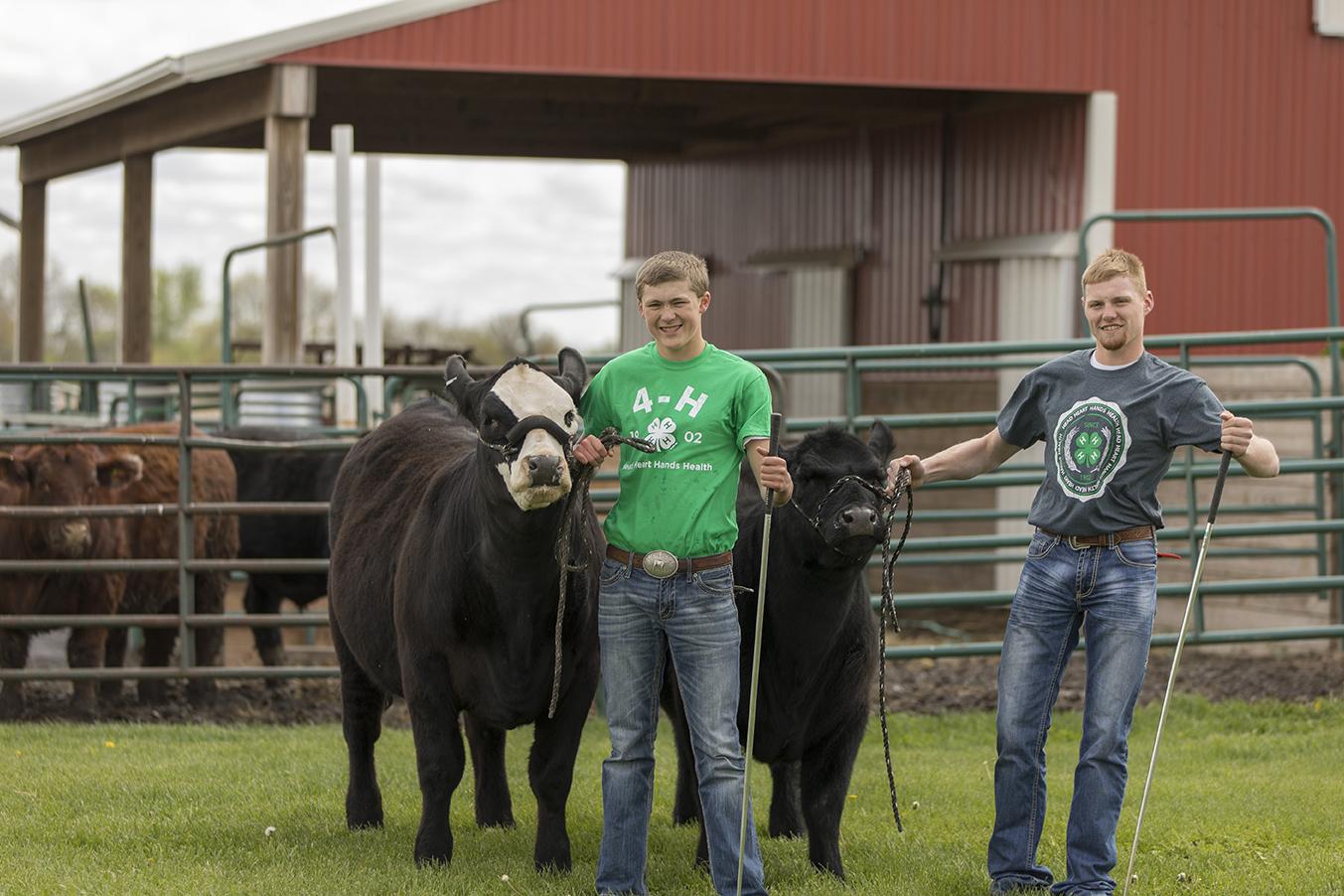 two teens standing with show calves