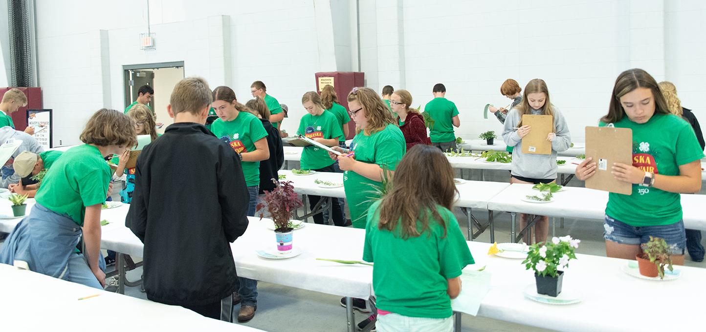 youth participating in a 4-H judging contest at the Nebraska state fair