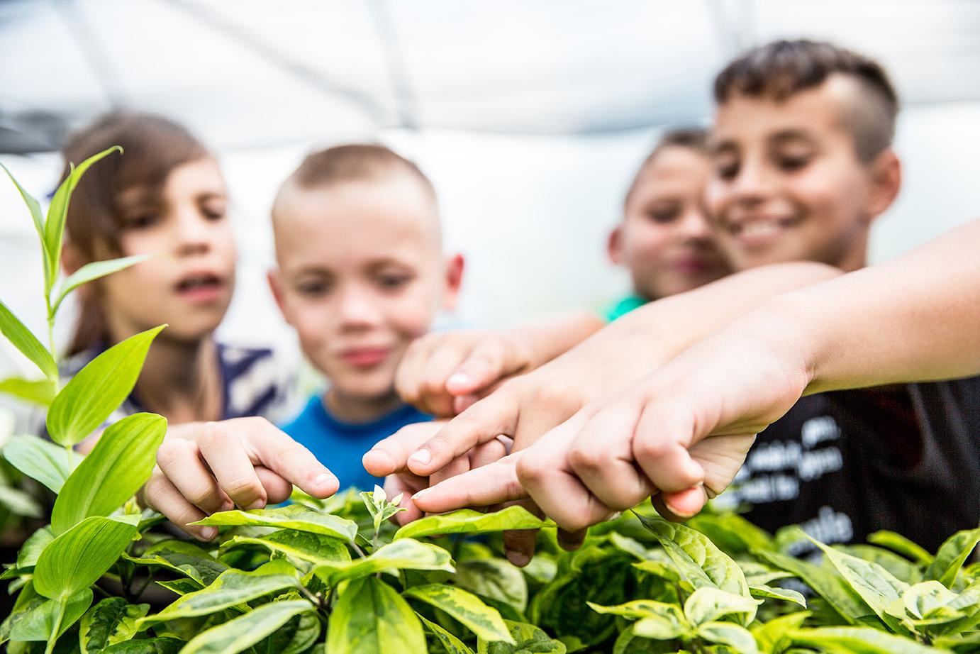 children pointing to parts of a plant
