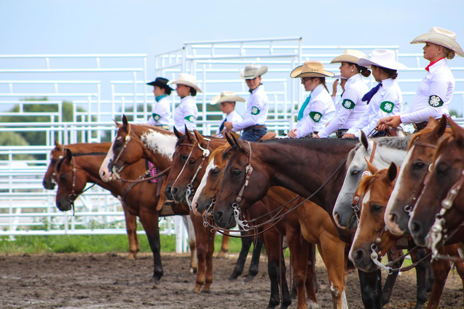 4-H members riding horses in showring