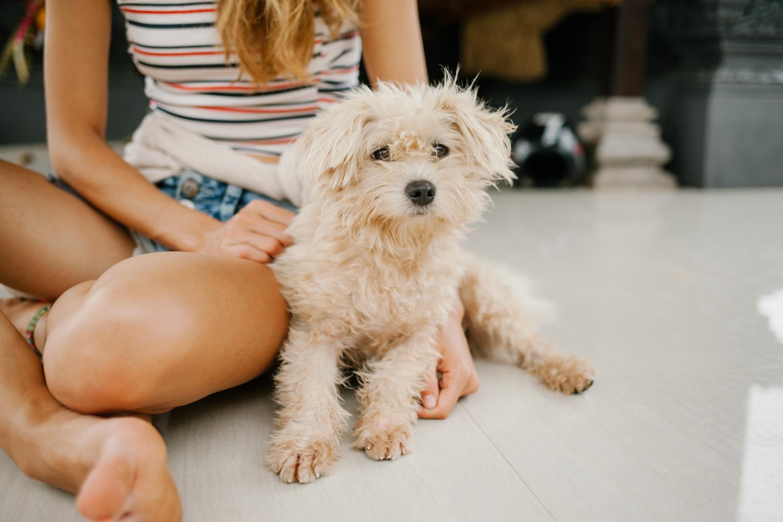 girl sitting with small fluffy dog